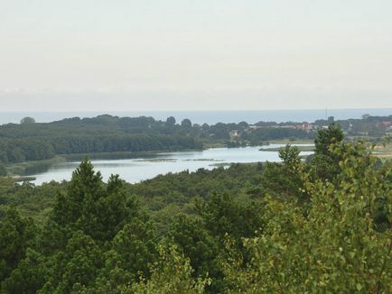 Куршська коса в Калінінграді фото національного парку, відпочинок і танцюючий ліс