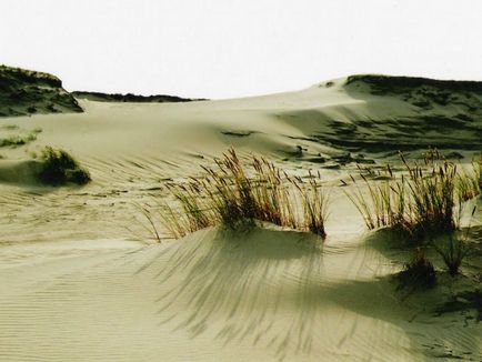 Curonian Spit în Kaliningrad fotografie a parcului național, odihnă și dans