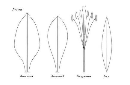 Лілії з фоамірана фото і майстер-клас покроково, форма і шаблон, мк з бутоном, квіти руками як
