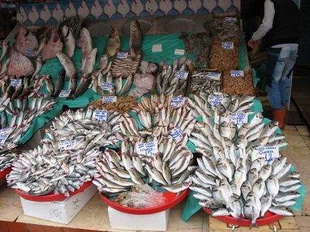 Lepényhal halászat a Fekete-tenger 1