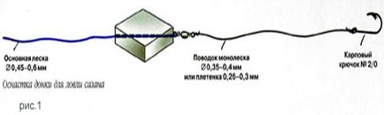 Ловля сазана з човна донною снастю