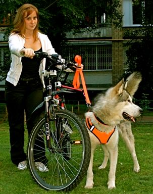 Metoda de instruire a mișcării de lângă bicicletă și remorcare - sisteme electronice pettra pentru câini