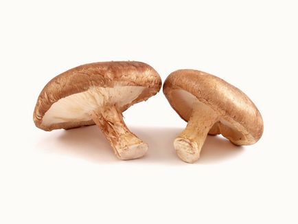 Ciuperca Caesar - o descriere a ciupercii, proprietati utile, contraindicatii si retete