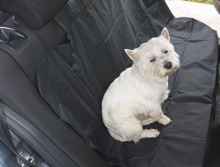 Cape pe scaunele pentru transportul animalelor în mașină