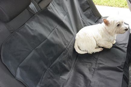 Cape pe scaunele pentru transportul animalelor în mașină