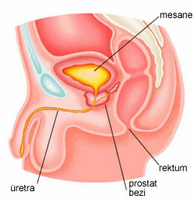 În cele din urmă, lumânările cu ihtiol au fost folosite pentru prostatită!