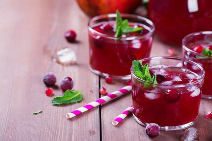 Băuturi din fructe și fructe congelate la domiciliu, site-ul oficial al rețetelor