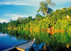 Національний парк ману, manú national park