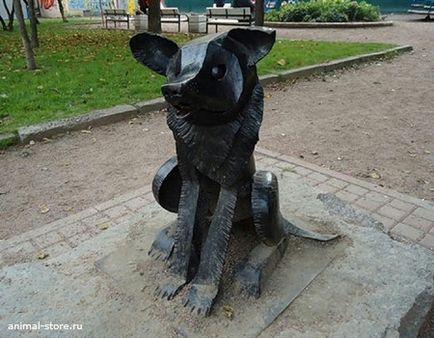 Незвичайні пам'ятники тваринам, які можна побачити в Петербурзі