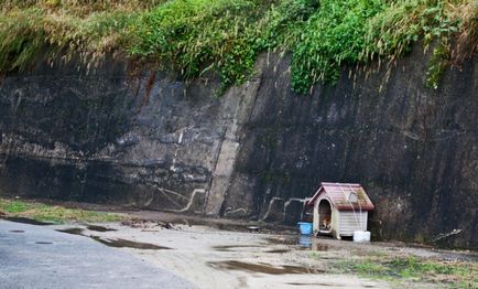 Cabine neobișnuite de câine