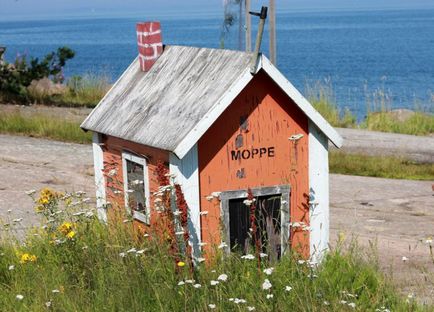 Cabine neobișnuite de câine