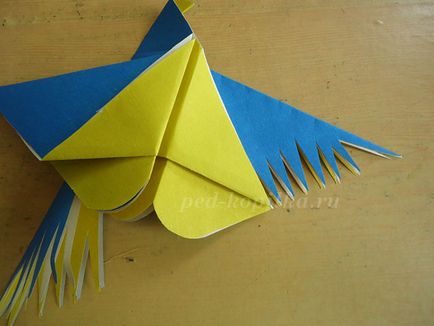 Origami pasăre de hârtie pentru copii 7-8-9 ani, pas cu pas cu o fotografie