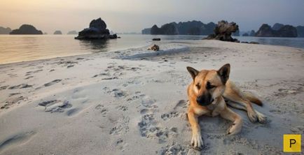 Caracteristicile vieții în Vietnam (10 fotografii)