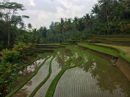 Treasure Island, sau 10 diferențe între Koh Samui și Bali