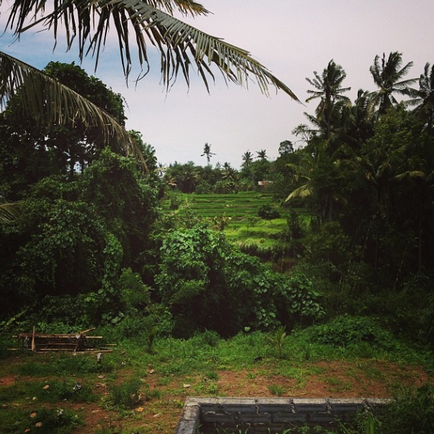 Treasure Island, sau 10 diferențe între Koh Samui și Bali