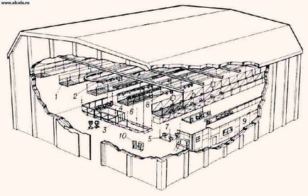 Pavilion kinosomochny Encyclopedia TSB