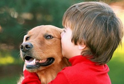 Tedd férgek továbbítja a kutya az ember, és hogyan