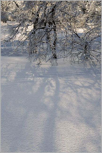 Perspectivă (tutorial)