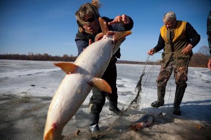 Lacul Pleshcheeva, pescuit - pescuit de iarnă, recenzii, pescuit de vară de pe țărm, video