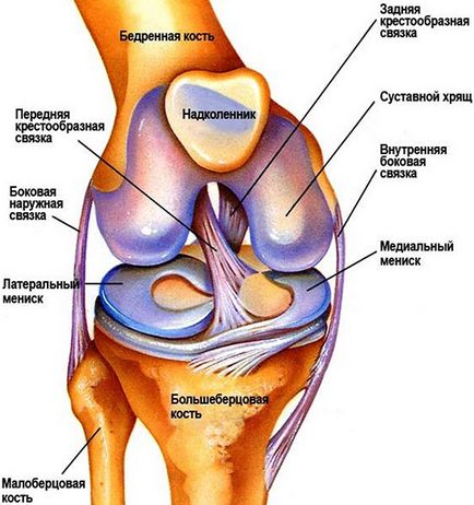 De ce crăpăturile articulațiilor în genunchi cauzează și tratamentul durerii și abdomenului în genunchi în timpul flexiei