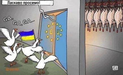Чому Україна довелося вибирати між Росією і Євросоюзом