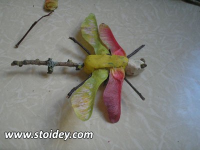 Fabricat manual din materiale naturale - dragonfly - cum să aranjezi exerciții cu mama unui copil