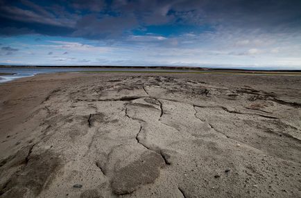 Peninsula de Yamal - marginea de cerb în vestul Siberiei, știri de fotografie