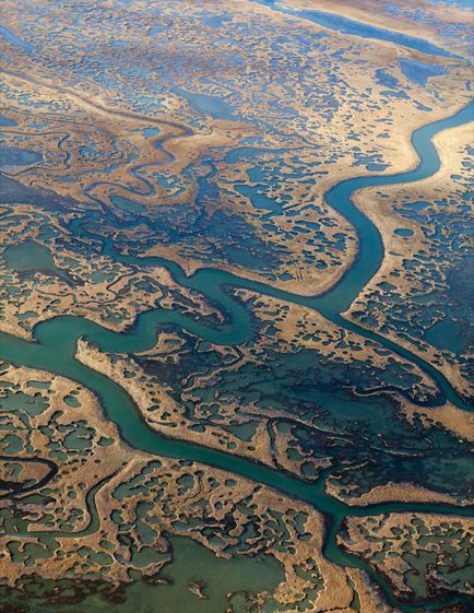 Peninsula de Yamal - marginea de cerb în vestul Siberiei, știri de fotografie