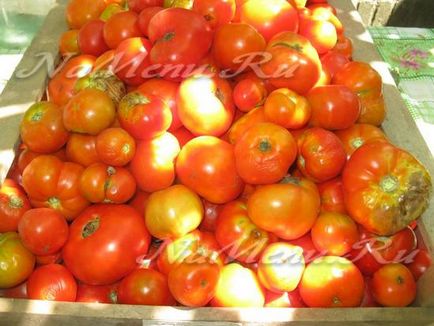 Доматите от доматен сок рецепта със снимки за зимата