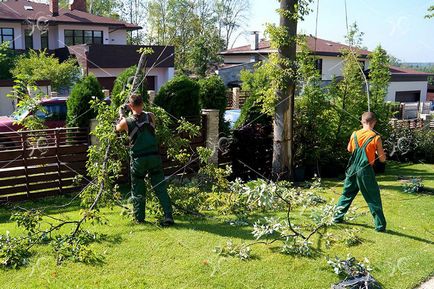 Kivágása jegyek, regisztráció, megszerzése, bezárása fakitermelés dokumentumok Moszkvában