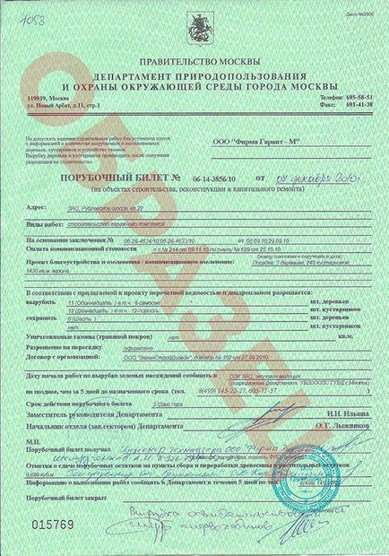 Bilet de avion, înregistrare, primire, închiderea documentelor de tăiere în Moscova