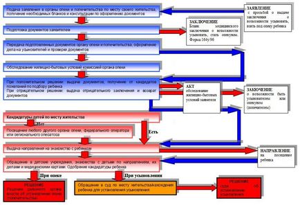 Порядок оформлення опіки над дитиною з будинку малятка