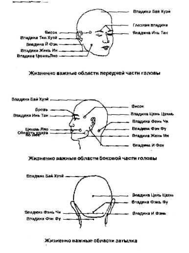Межі руху голови, шиї і торсу