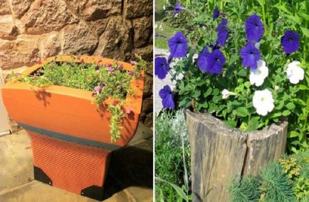 Exemple și sfaturi pentru crearea de paturi de flori pentru propria dvs. vilă