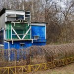 Прикмети про голубів вдарився, сіл, залетів на балкон або вікно