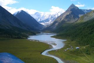 Natură, plante și animale din Altai