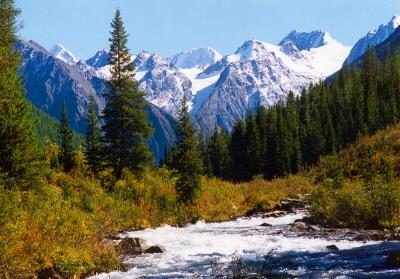 Natură, plante și animale din Altai