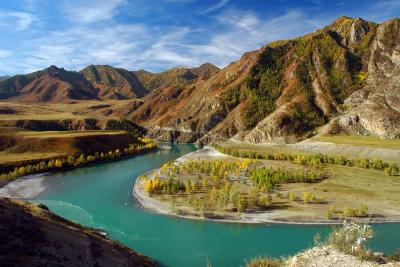 Natură, plante și animale din Altai