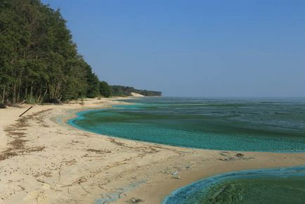 Trecând prin pădurea danubiței Curonian Lagoon