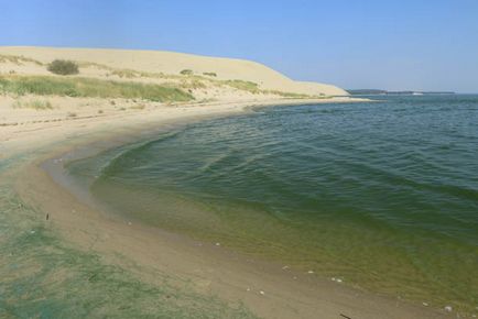 Trecând prin pădurea danubiței Curonian Lagoon