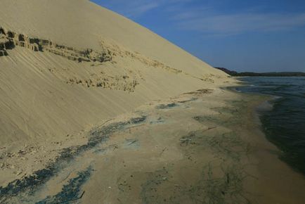 Trecând prin pădurea danubiței Curonian Lagoon