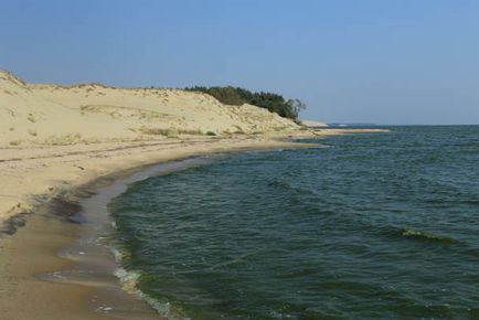 Trecând prin pădurea danubiței Curonian Lagoon