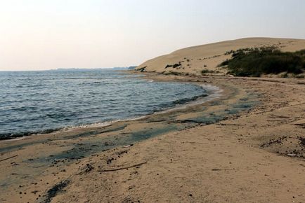 Trecând prin pădurea danubiței Curonian Lagoon