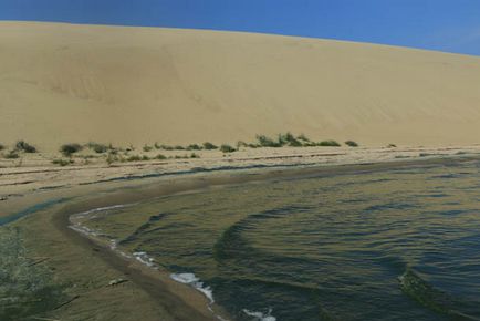 Trecând prin pădurea danubiței Curonian Lagoon