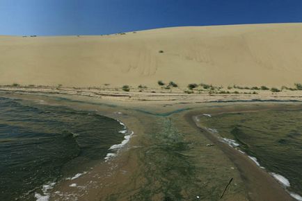 Trecând prin pădurea danubiței Curonian Lagoon