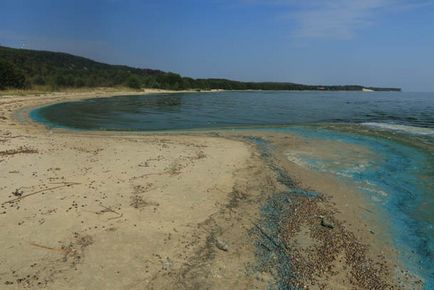 Trecând prin pădurea danubiței Curonian Lagoon