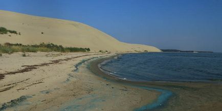 Trecând prin pădurea danubiței Curonian Lagoon