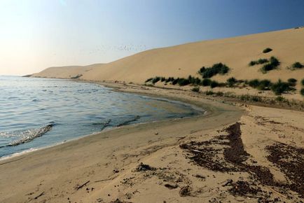 Trecând prin pădurea danubiței Curonian Lagoon