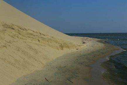 Trecând prin pădurea danubiței Curonian Lagoon