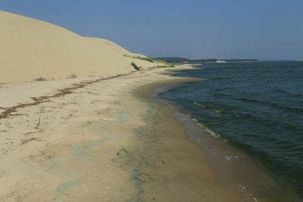 Trecând prin pădurea danubiței Curonian Lagoon